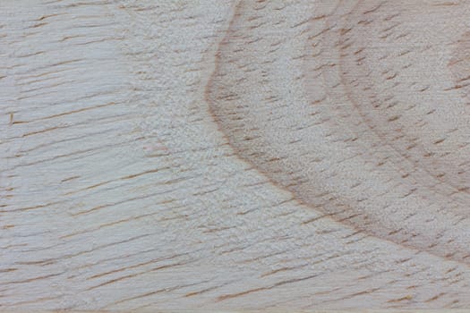 Texture of wood background closeup.
