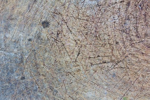 Texture of wood background closeup. Grunge
