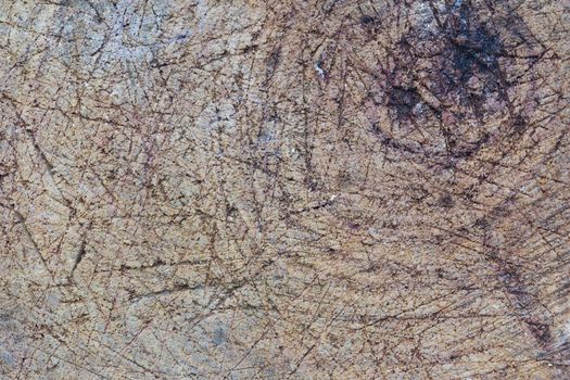 Texture of wood background closeup. Grunge