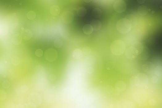  abstract green nature background, bokeh