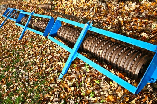 shoe cleaner in autumn in denmark