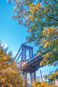 The Manhattan Bridge surrounded by trees - New York City.