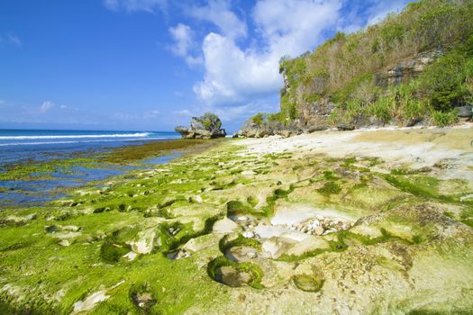 Ocean coastline, Bali, Indonesia.