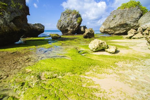 Ocean coastline, Bali, Indonesia.