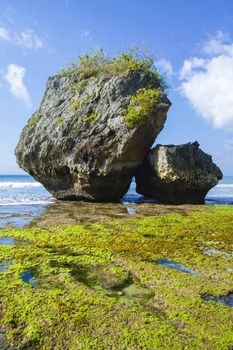 Ocean coastline, Bali, Indonesia.