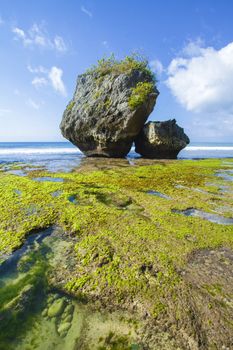 Ocean coastline, Bali, Indonesia.