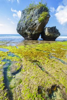 Ocean coastline, Bali, Indonesia.