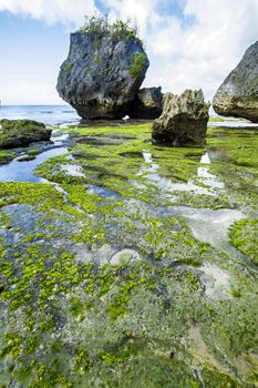 Ocean coastline, Bali, Indonesia.