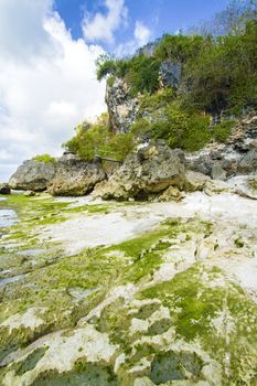 Ocean coastline, Bali, Indonesia.