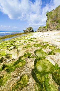 Ocean coastline, Bali, Indonesia.