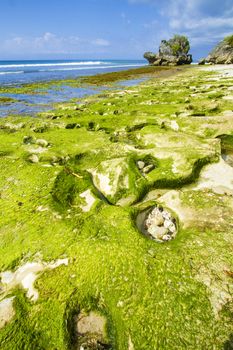 Ocean coastline, Bali, Indonesia.