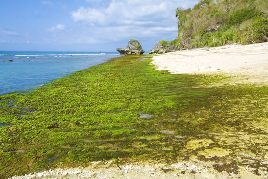 Ocean coastline, Bali, Indonesia.