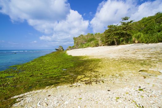 Ocean coastline, Bali, Indonesia.