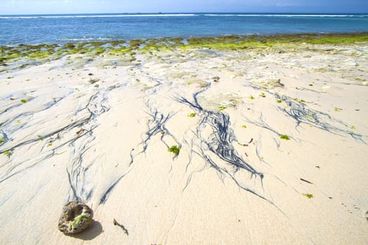 Deserted beach at Bali island.Indonesia.