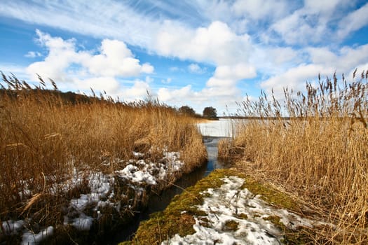 Iced lake in sun in denmark in winter