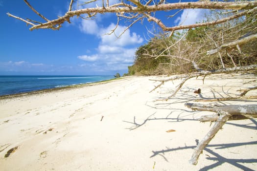 Deserted beach at Bali island.Indonesia.