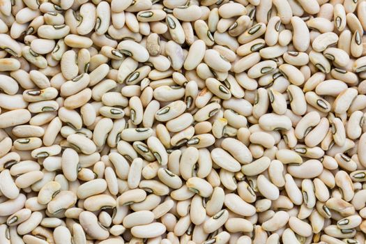 Macro shot of soybeans fills the frame.