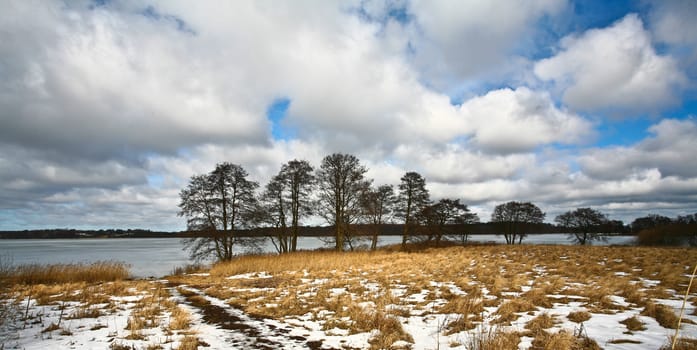 Iced lake in sun in denmark in winter