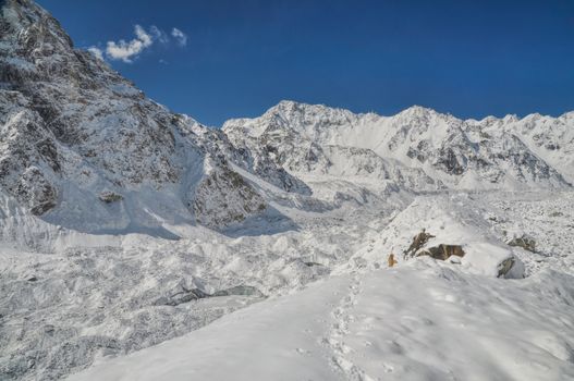 Trekking in scenic Himalayas near Kanchenjunga, the third tallest mountain in the world