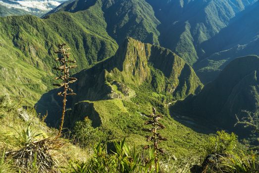 Scenic view of famous Machu Picchu ruins in peruvian andes, South America