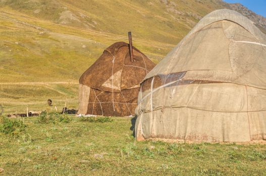 Nomadic settlements with yurts on green grasslands in Kyrgyzstan