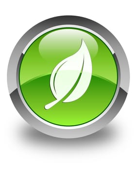 Leaf icon on glossy green round button