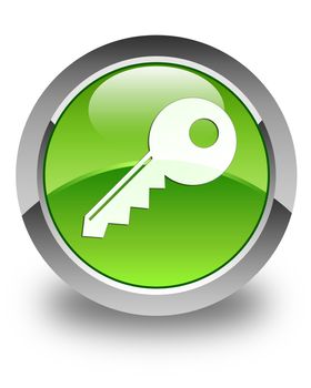 Key icon on glossy green round button