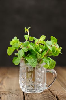 Fresh mint in glass mug on black background closeup macro vertical