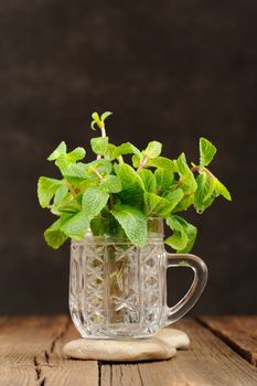 Fresh mint in glass mug on black background closeup macro vertical