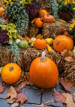 Pumpkins at a autumn ornament 