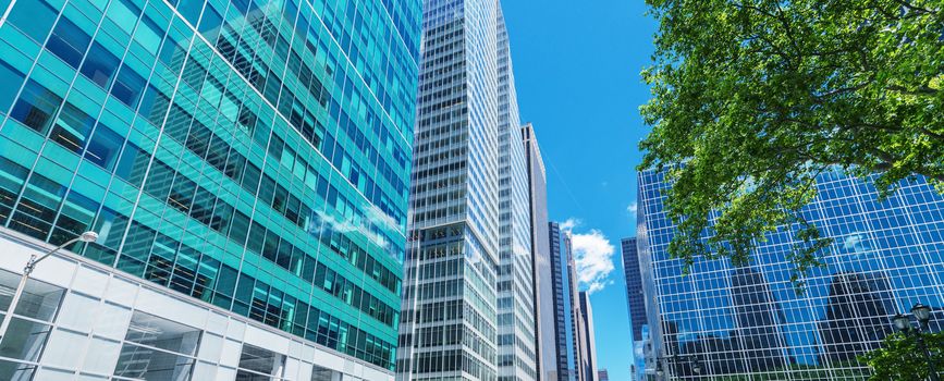 Manhattan skyscrapers with city trees, New York.