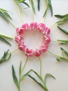 Arrangement of pink and white tulips