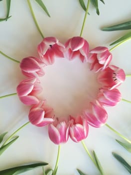 Arrangement of pink and white tulips