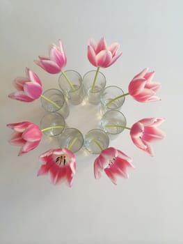 Pink and white tulips in vases