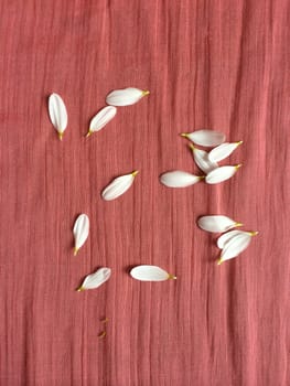White flower petals on wrinkled pink fabric