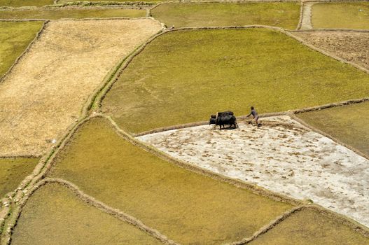 Aerial view of ploughing fields in Nepal