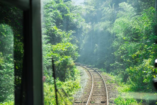 Front view from the train which are headed to the nature