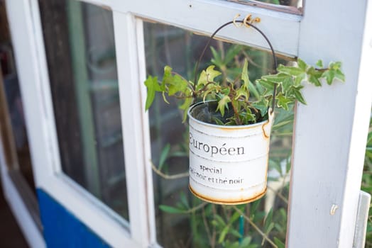 little tree in a cute tin hanging on the front door of the store