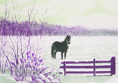 Frisian horse in a snowy meadow, painting oil, purple