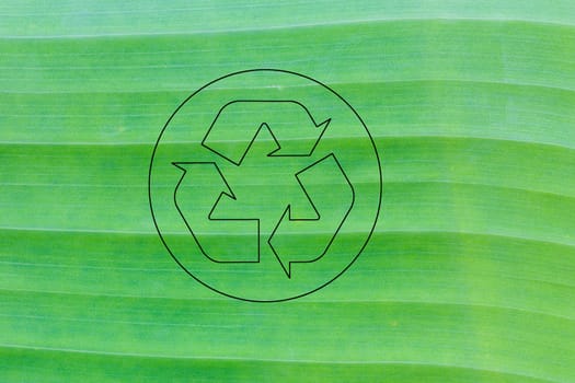 Beautiful banana leaf background and recycle logo in the middle