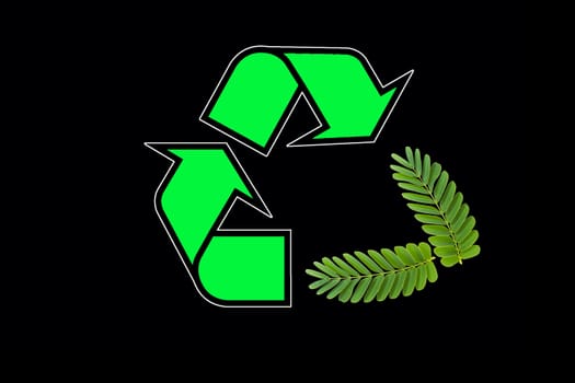 green recycle icon and tamarind leaves isolated on black background, concept 