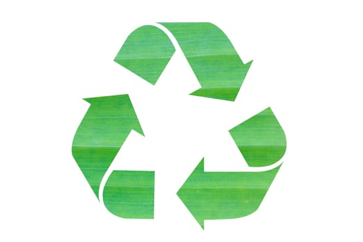 recycle icon made of banana leaf isolated on white background