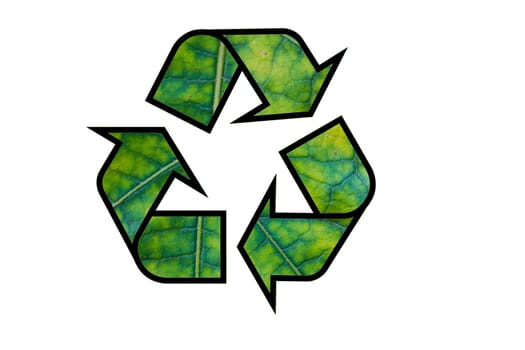 Recycle icon with leaf texture isolated on white background.