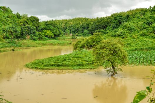 River flooding green fields in Bangladesh