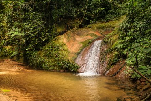 Water cascade in Bolivian jungle forest