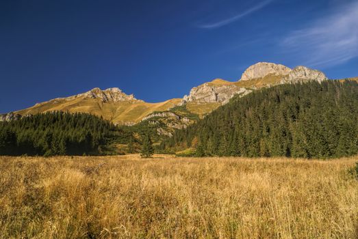 Scenic landscape of Belianske Tatry region in Slovakia on sunny autumn day