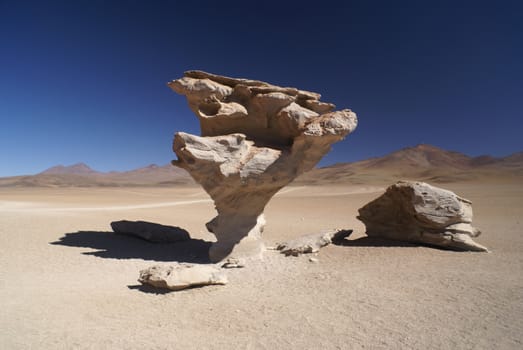 Stone tree in the arid bolivian desert in south american Andes