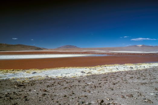 Red lake dotted with flamingos in bolivian desert near Salar de Uyuni