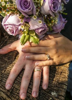 Just married couple showing their wedding rings