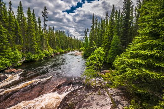 National park Grands Jardins Charlevoix Quebec Canada